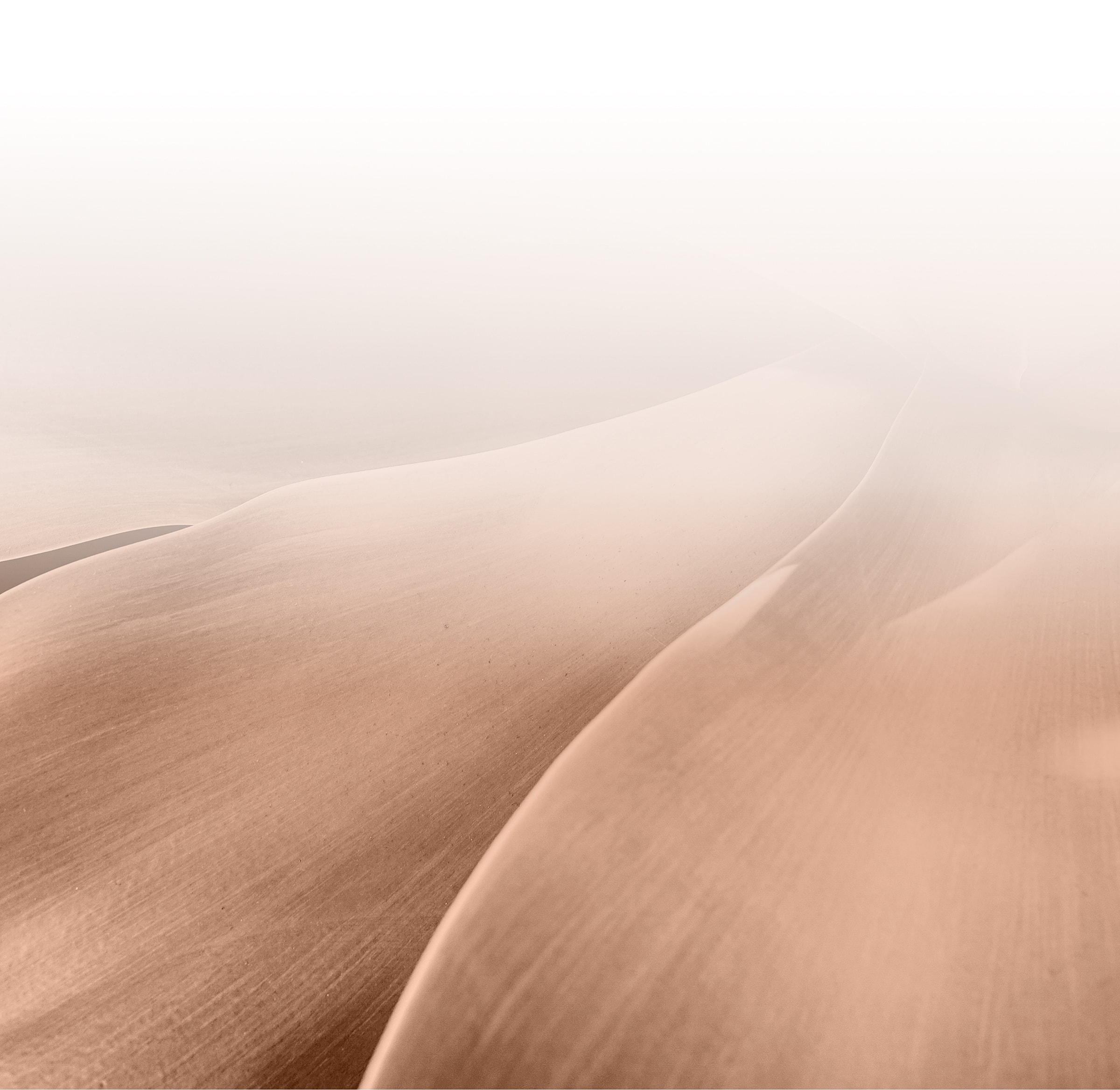 Abstract waves of smooth sand dunes.