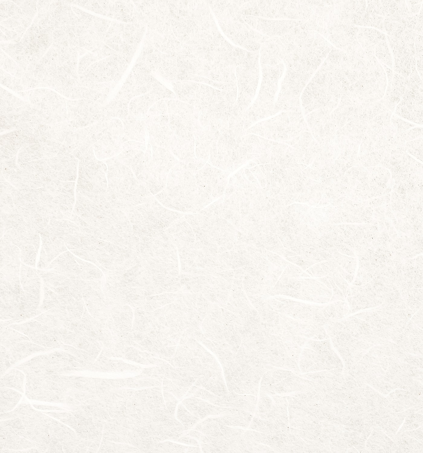 Textured white paper background with fibers.